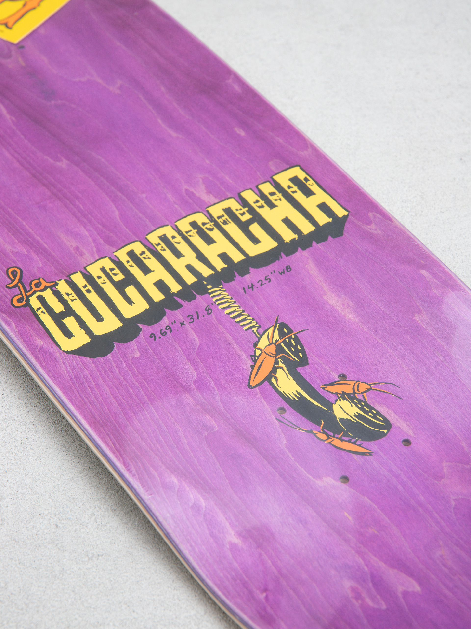 Doska Antihero Team Jalopi Cucaracha (brown)