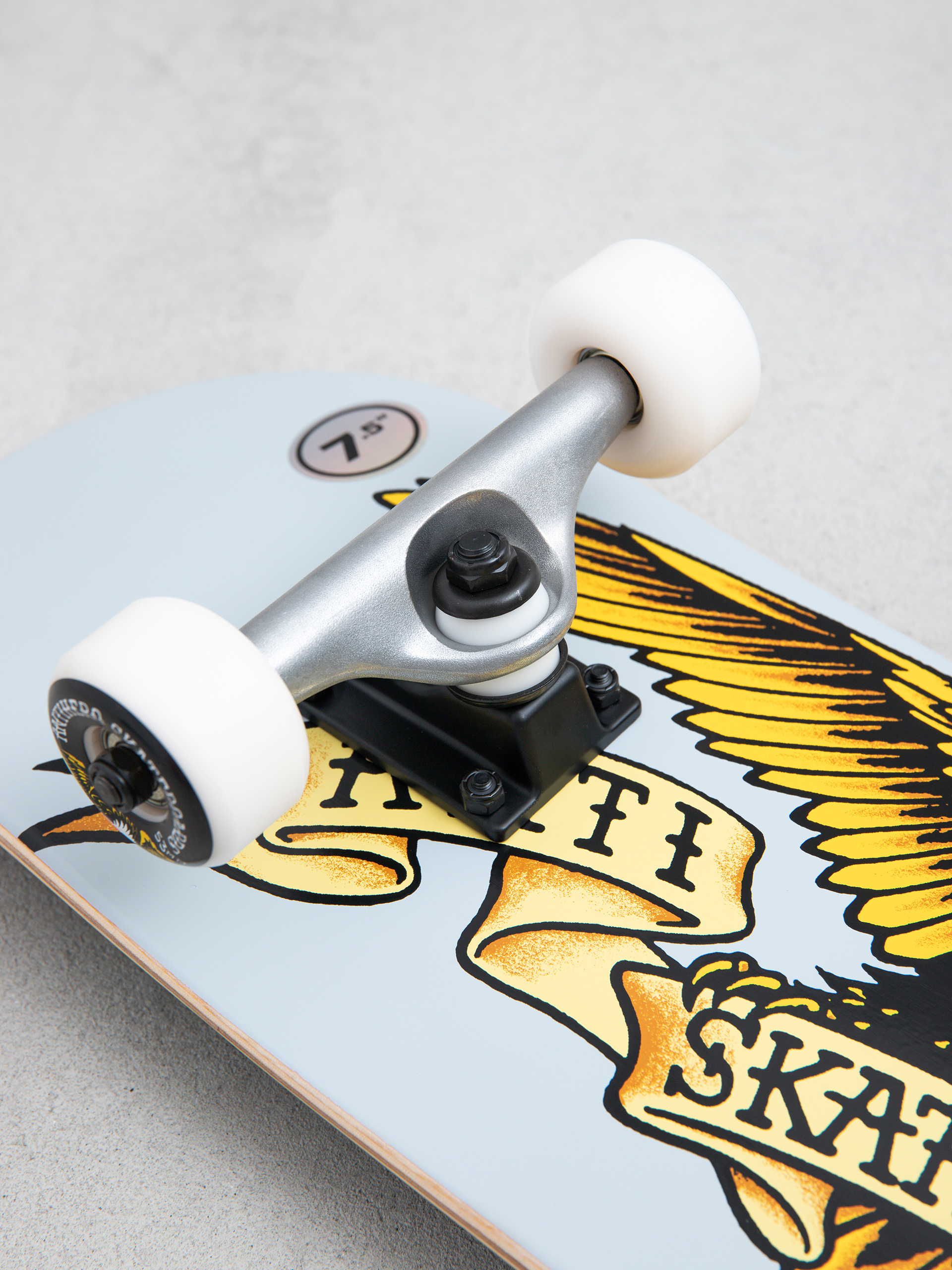 Skateboard Antihero Classic Eagle (light blue)