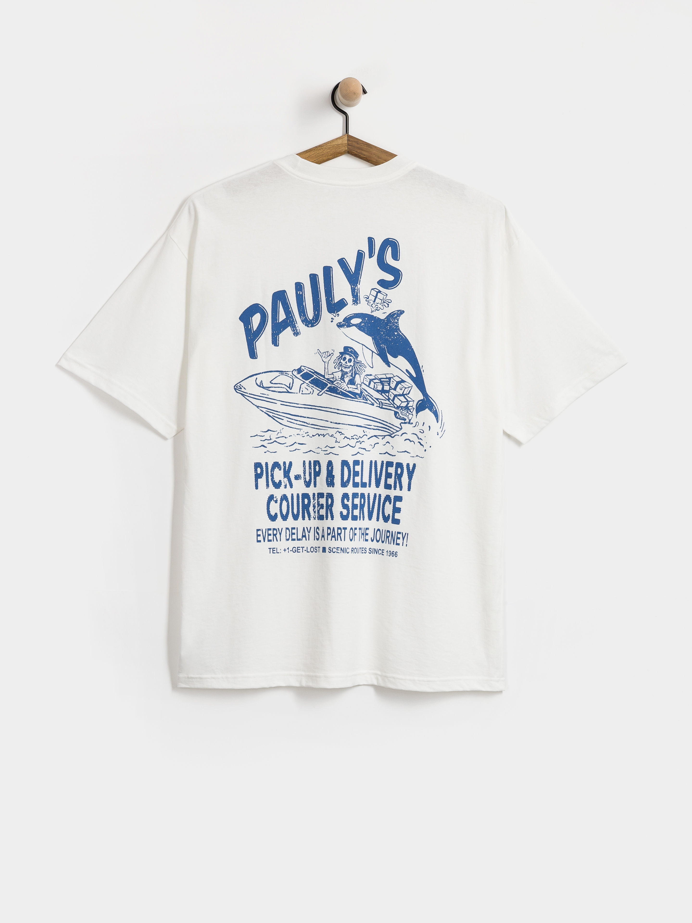 Triu010dko Vans PaulyS Delivery (white)