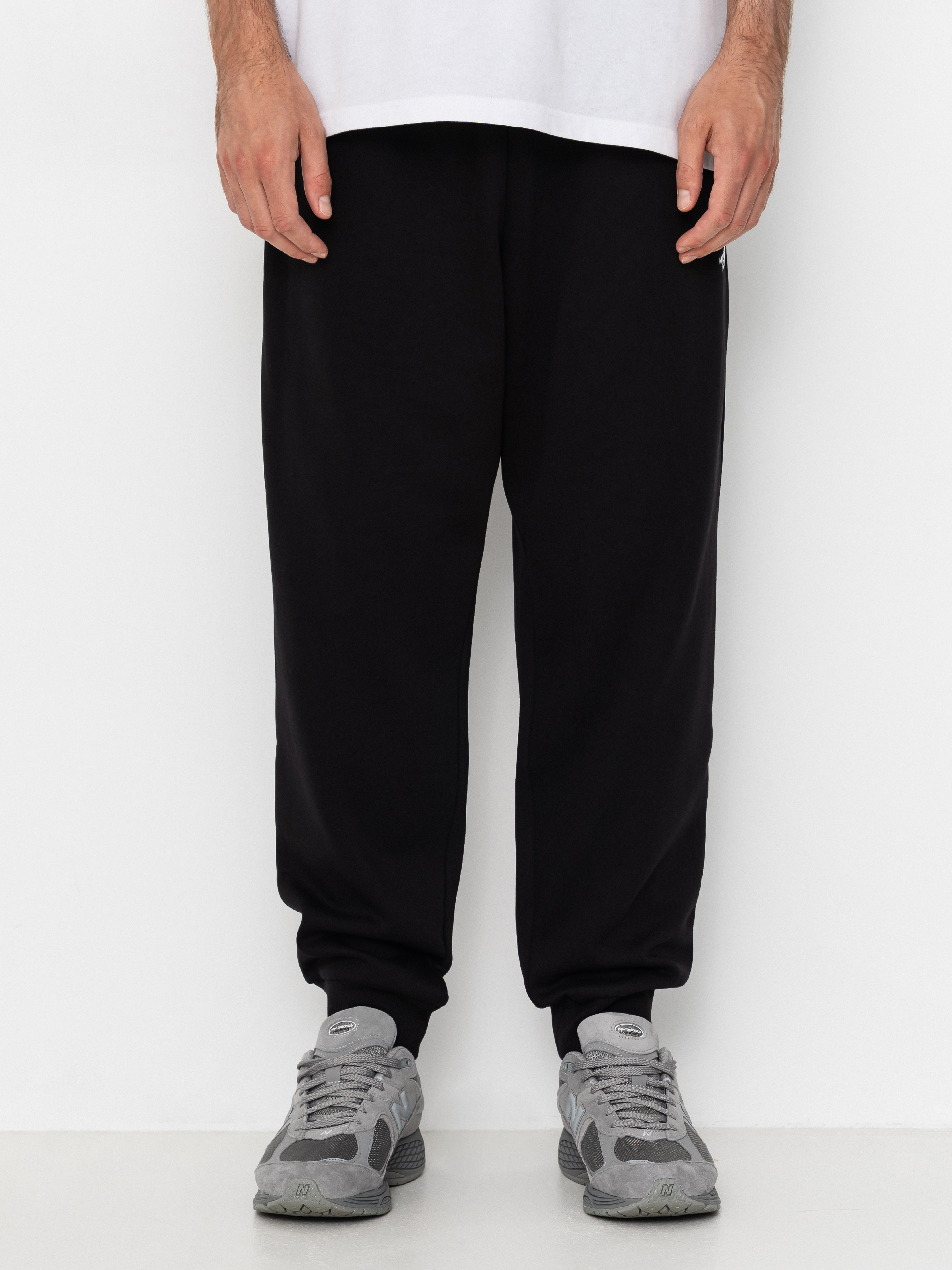 Nohavice The North Face Evolution Simple Dome Regular Jogger