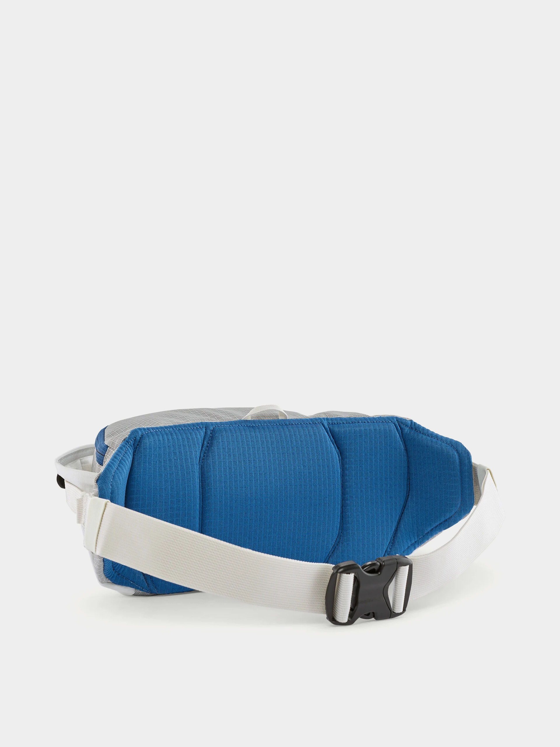 Ľadvinka Patagonia Black Hole 5L (birch white)
