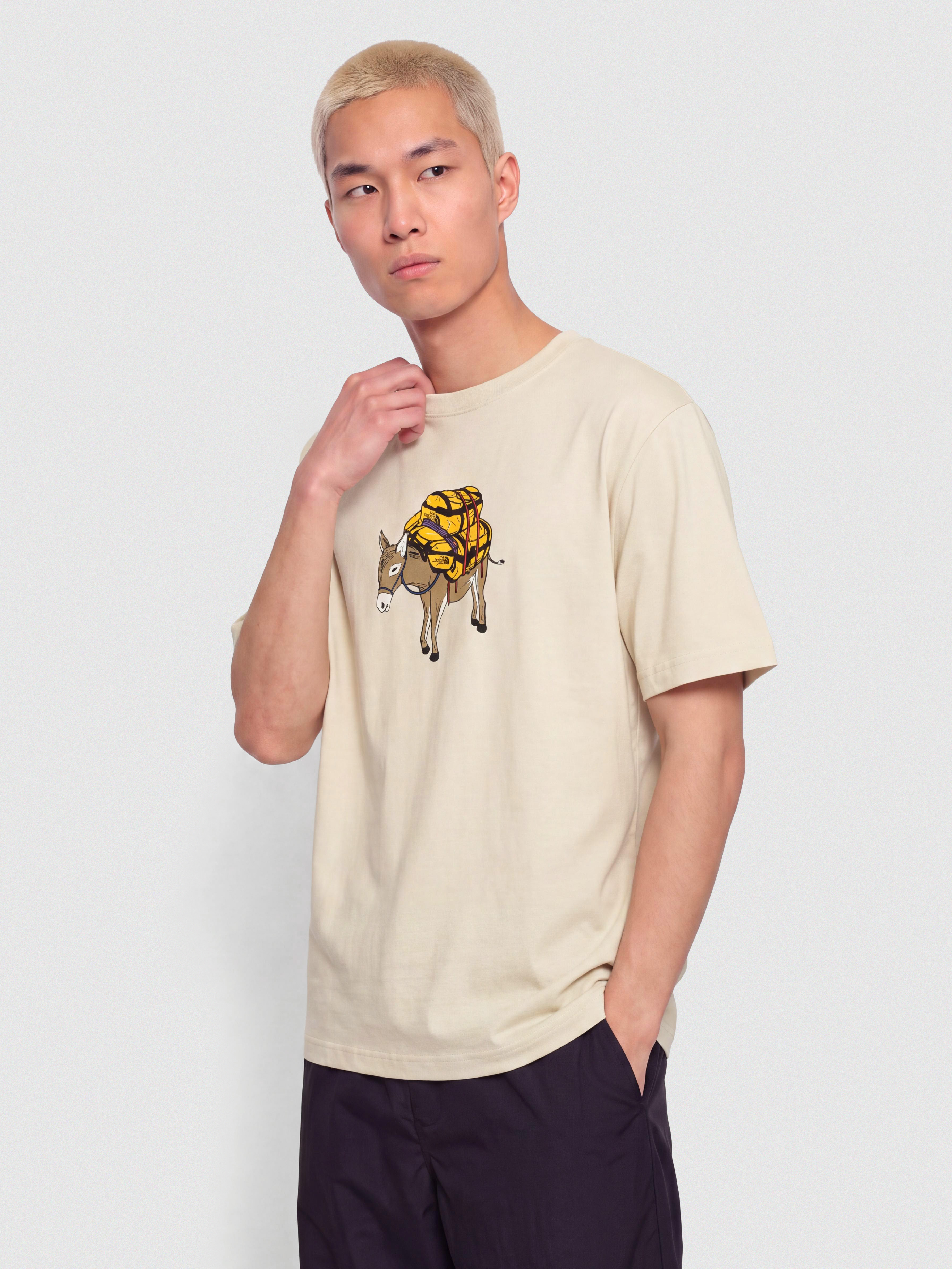 Triu010dko The North Face Donkey Taxi Relaxed (desert stone)