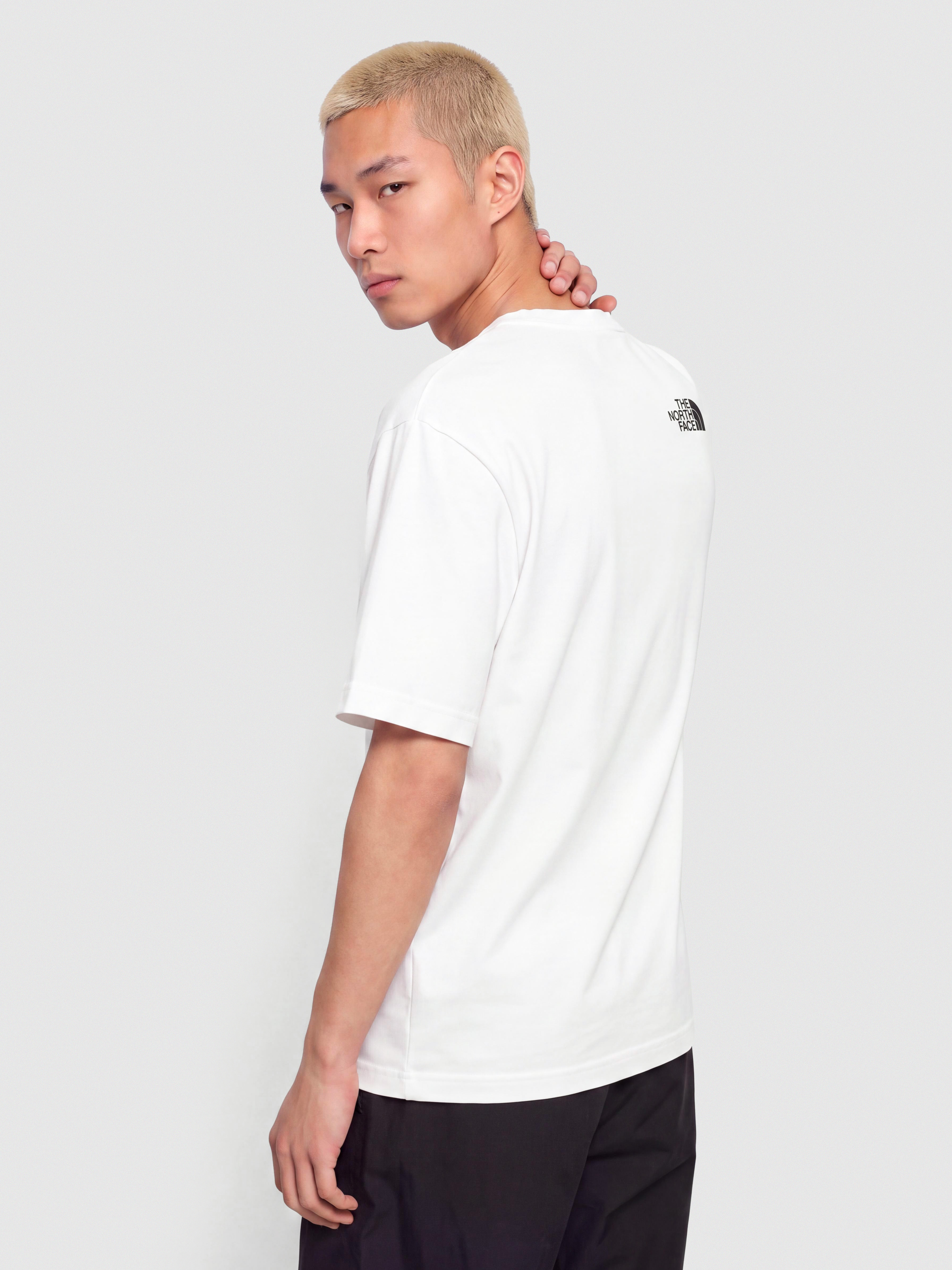Tričko The North Face Mountain Logo Relaxed (tnf white)