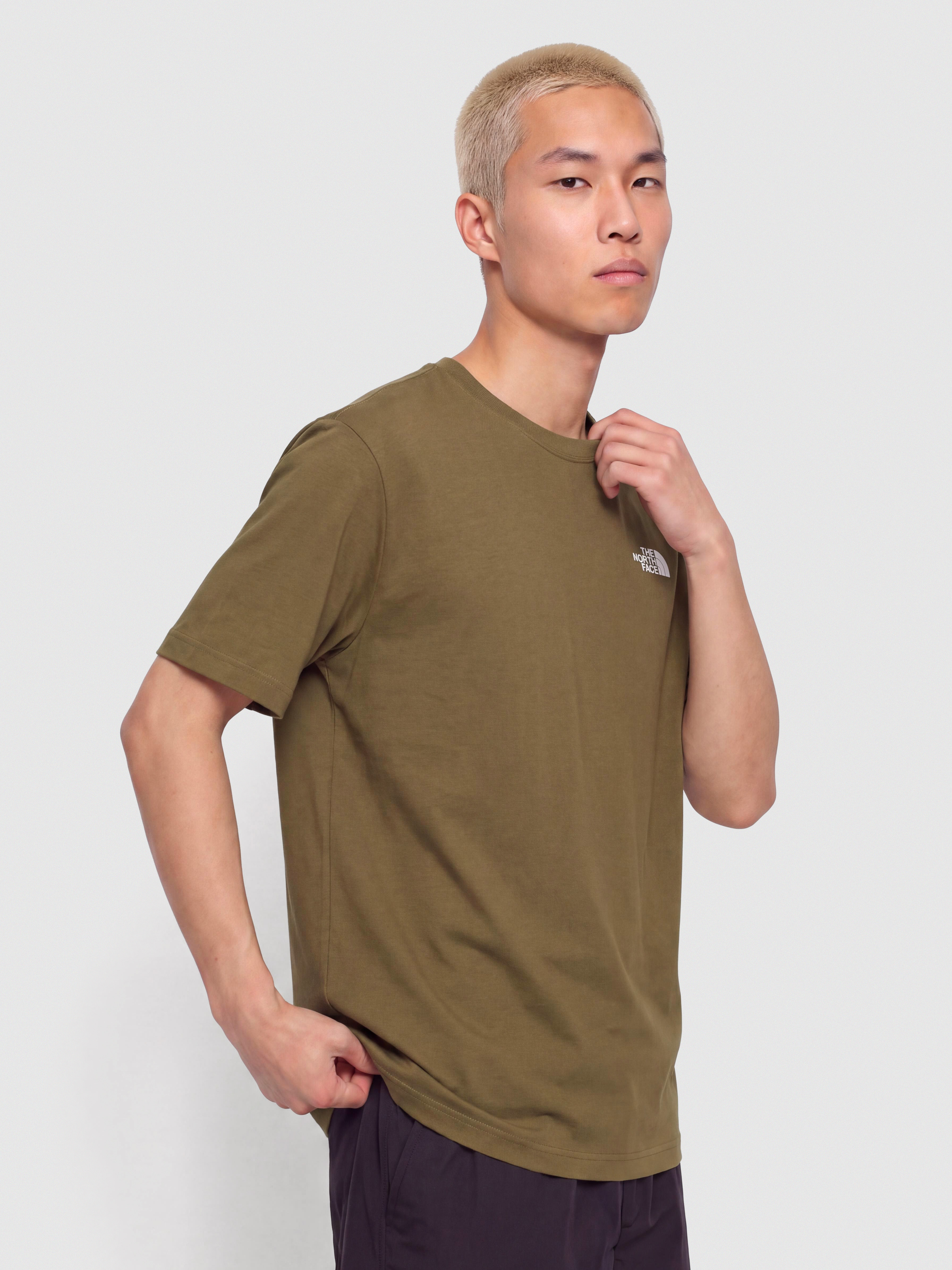 Tričko The North Face Evolution Simple Dome (caraway seed)