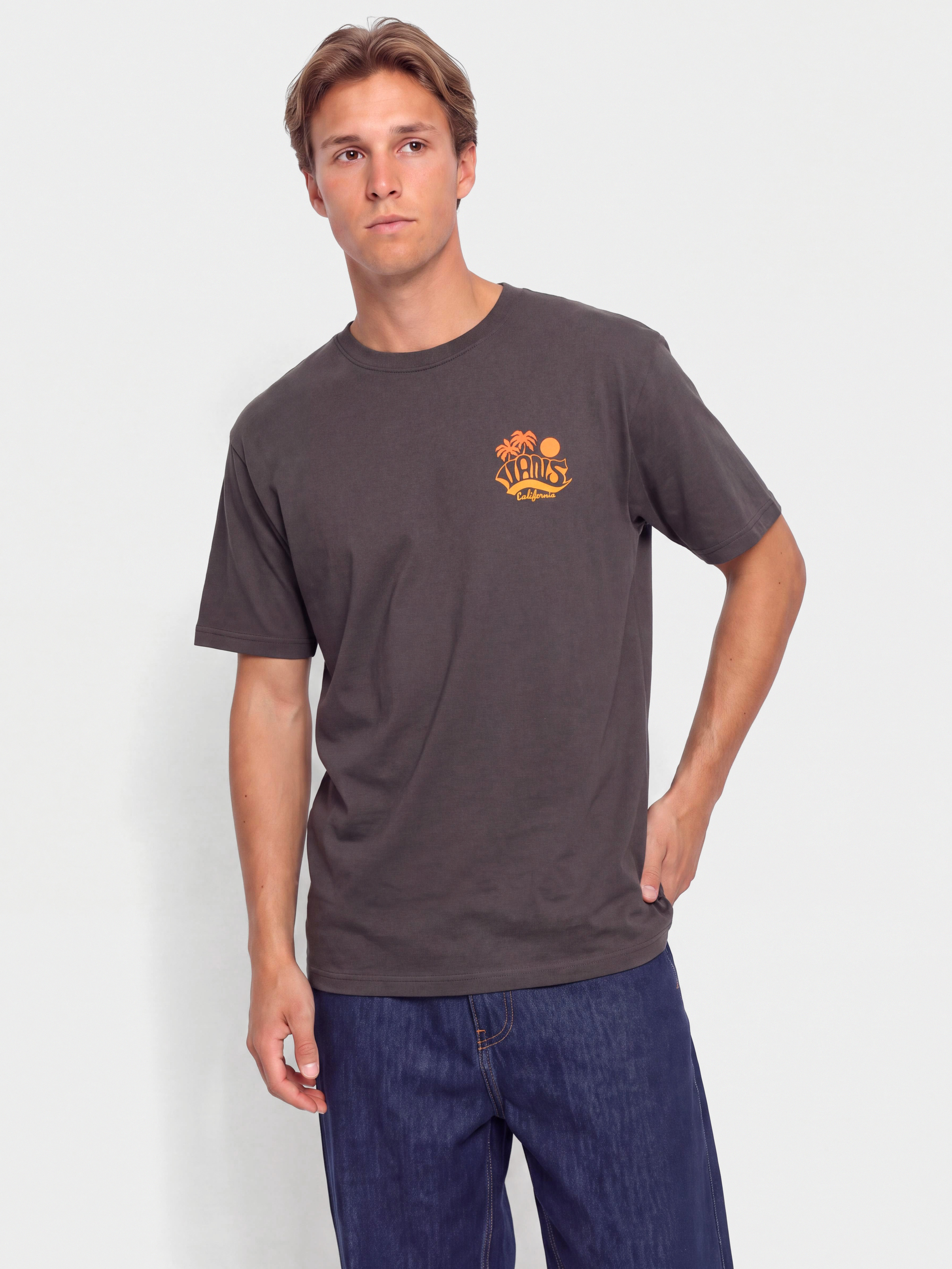 Triu010dko Vans Sea Level (charcoal grey)