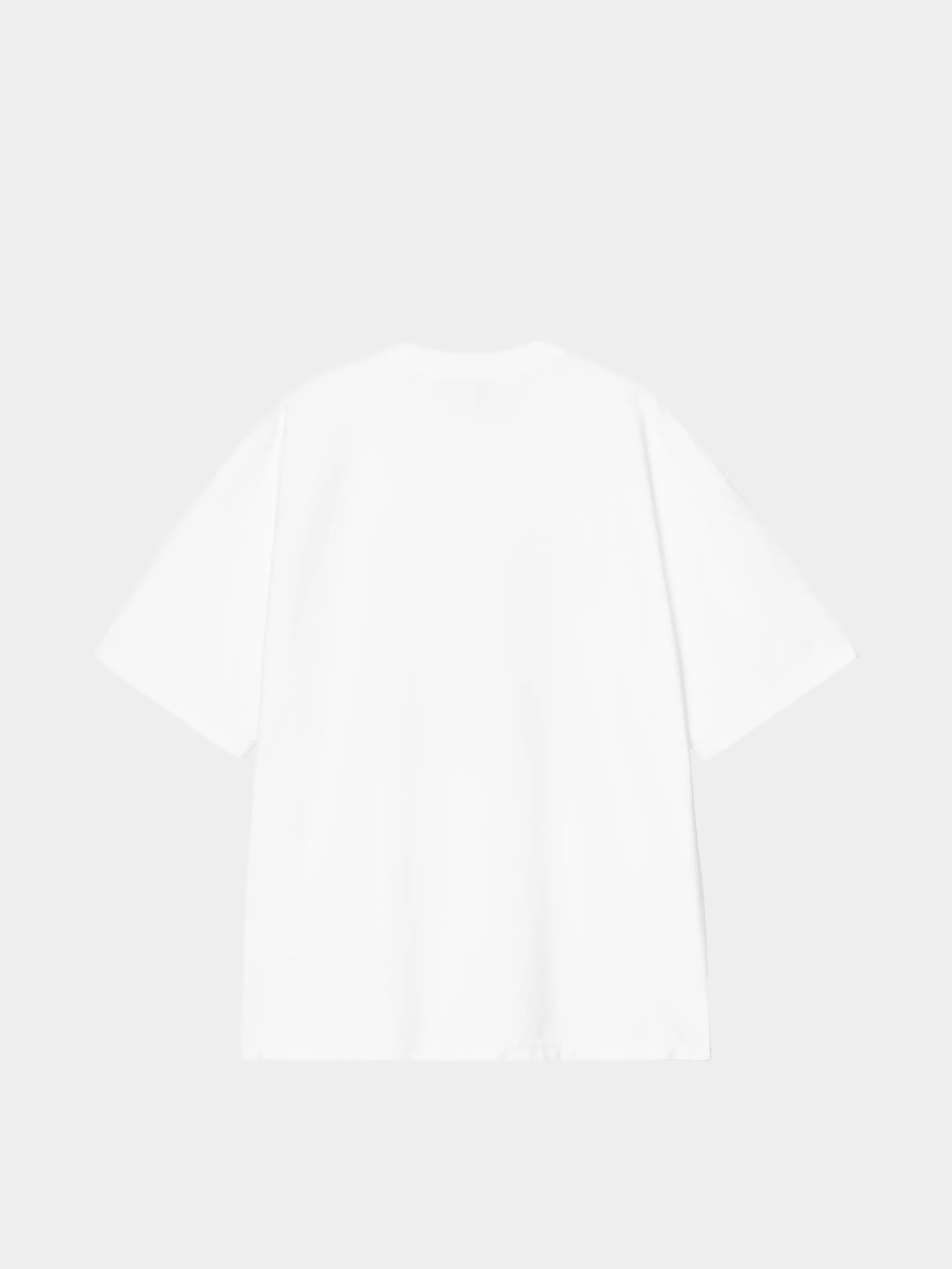 Tričko Carhartt WIP 1989 Winners (white/heavy stone wash)
