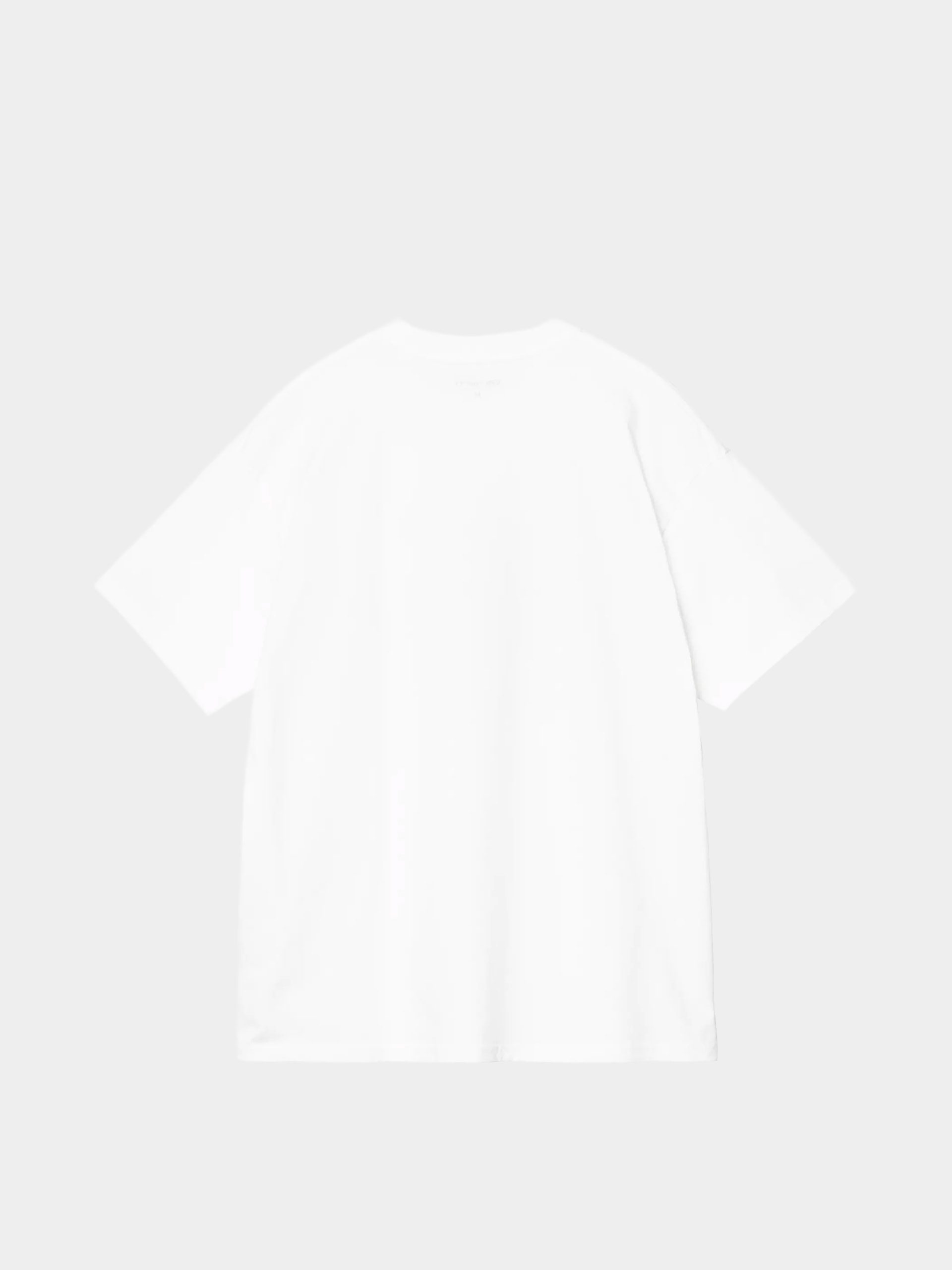 Tričko Carhartt WIP Entrance (white)