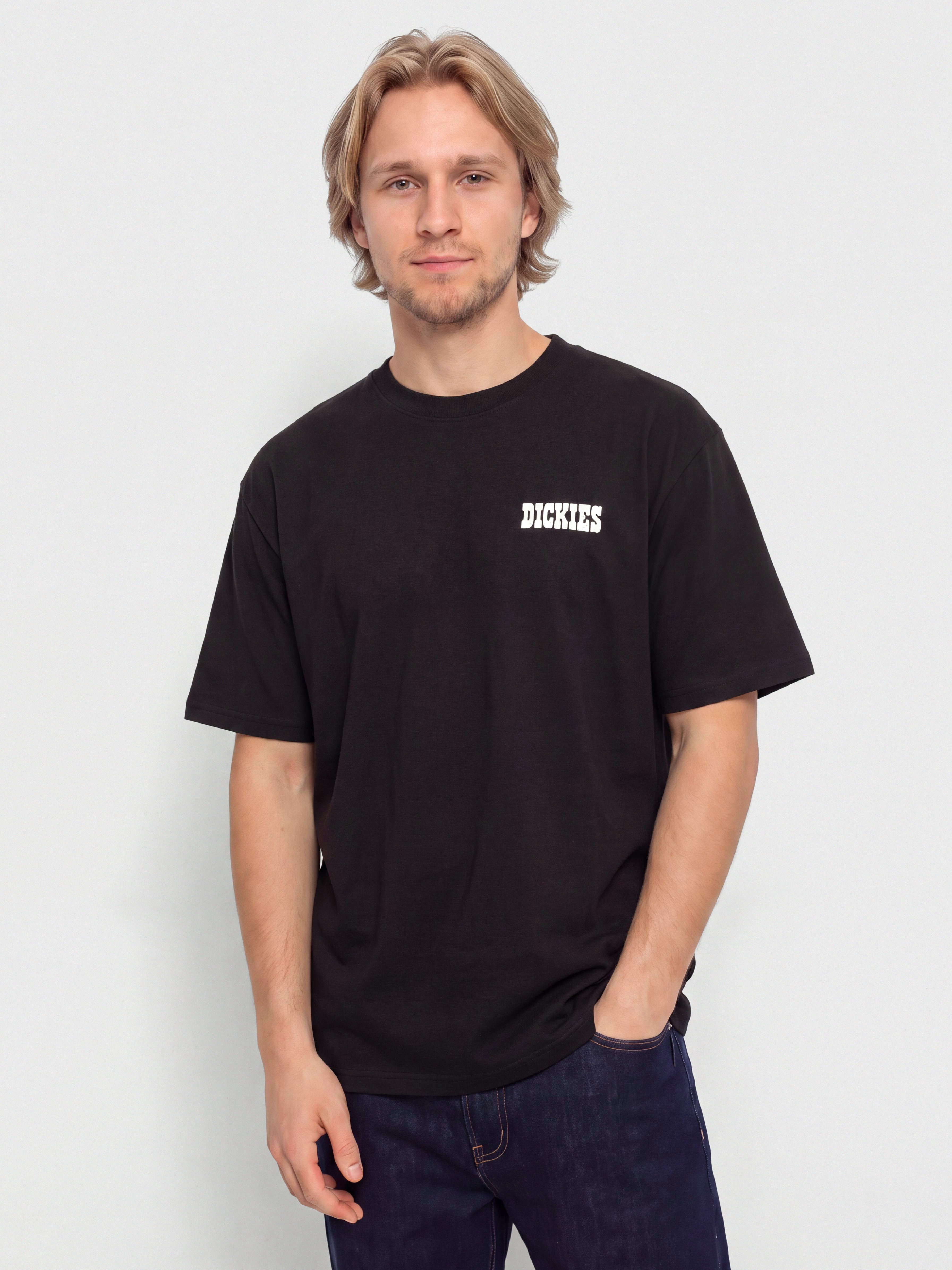 Triu010dko Dickies Plain City (black)