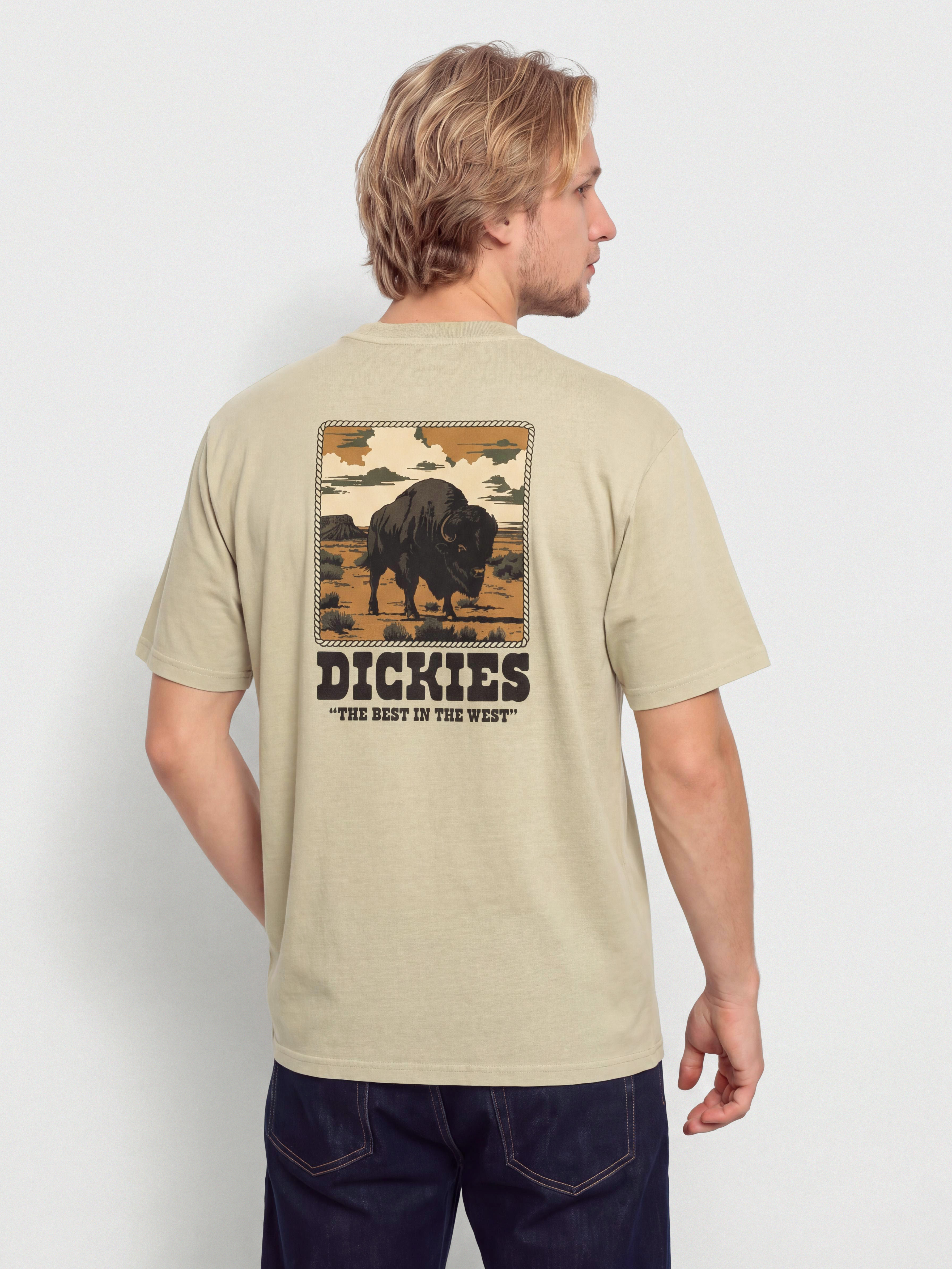 Tričko Dickies Darrtown