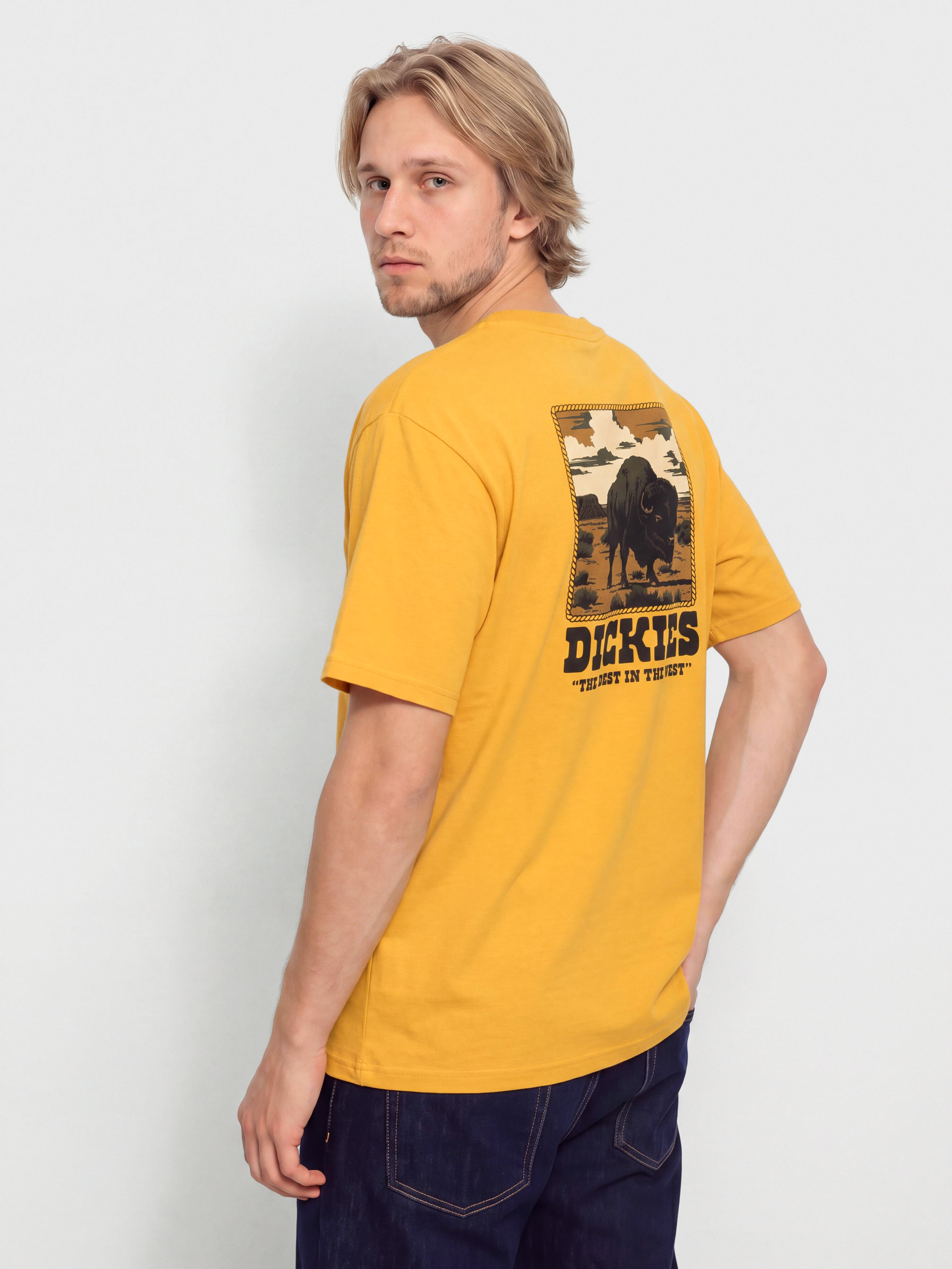 Triu010dko Dickies Darrtown (sunflower)
