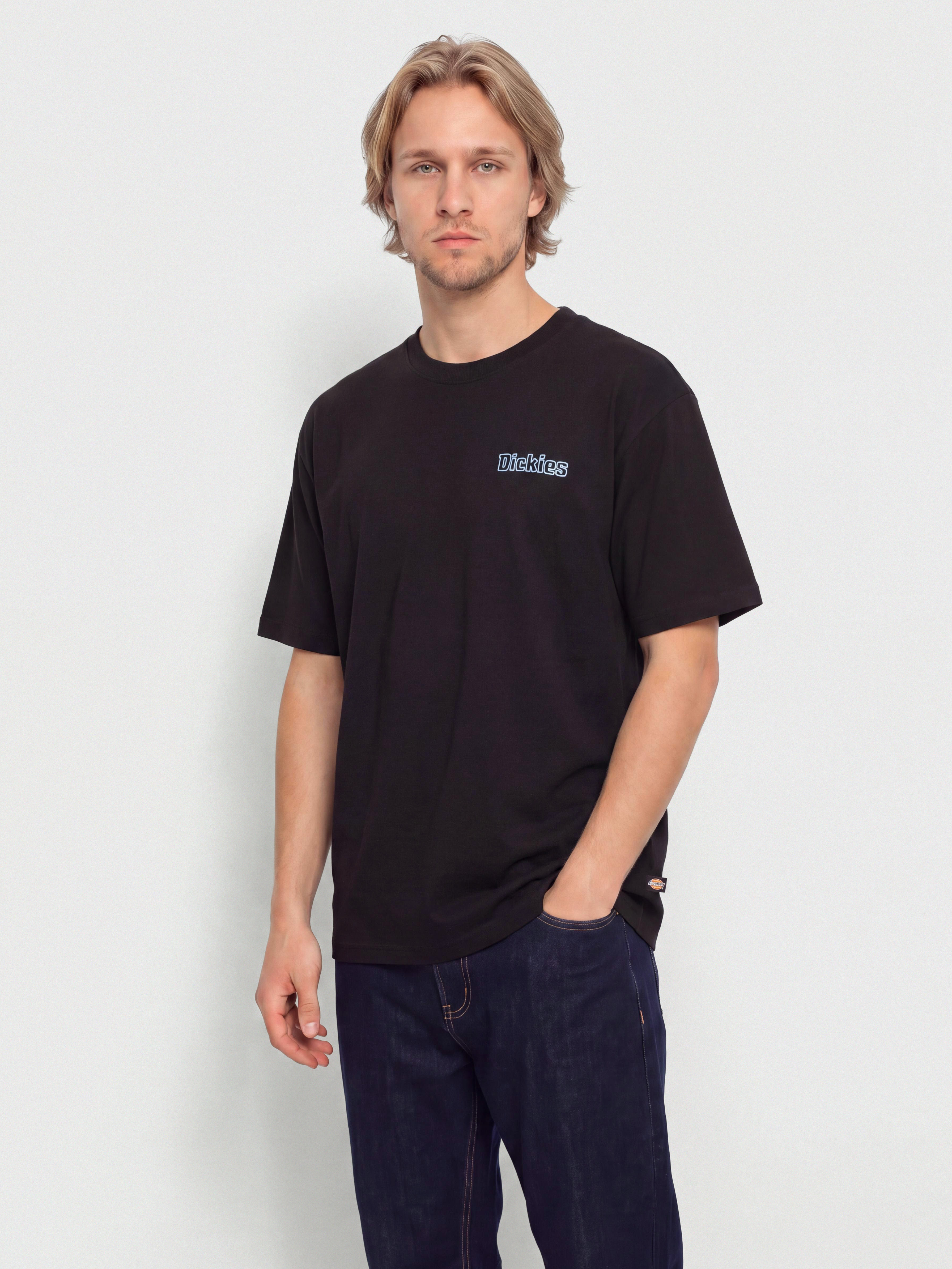 Tričko Dickies Fairlawn (black)