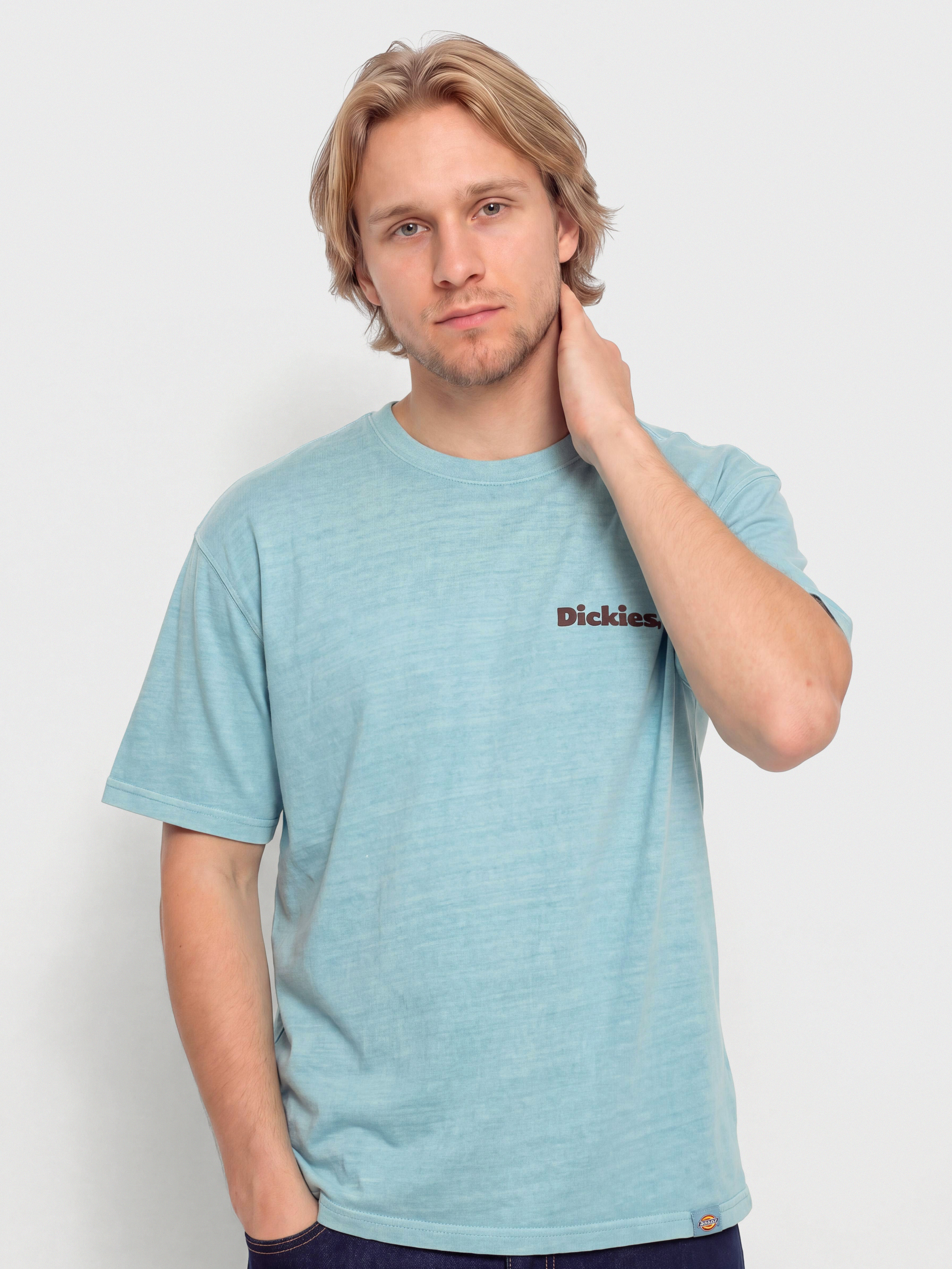 Tričko Dickies Slayden (glacier lake)
