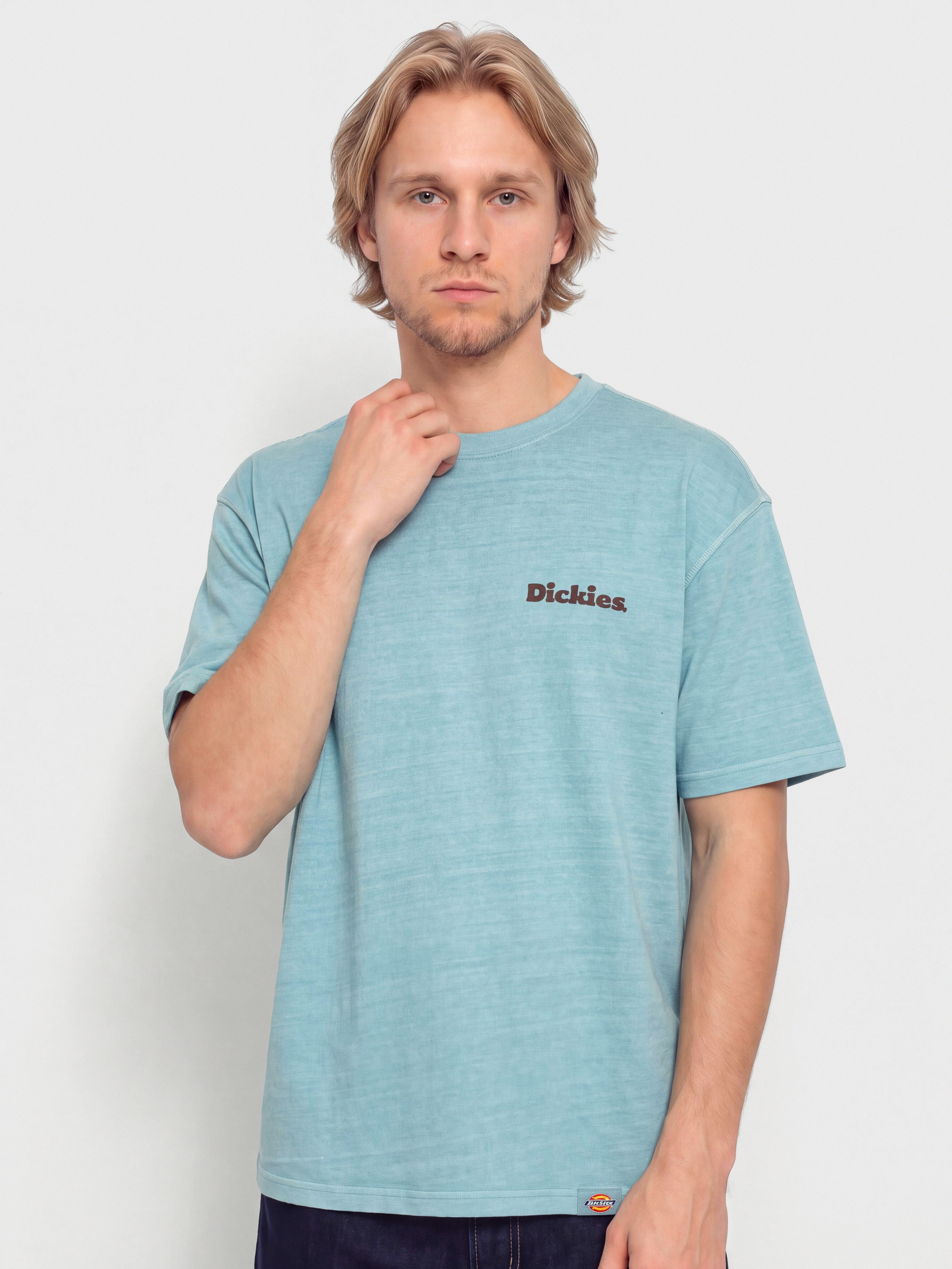 Tričko Dickies Slayden (glacier lake)