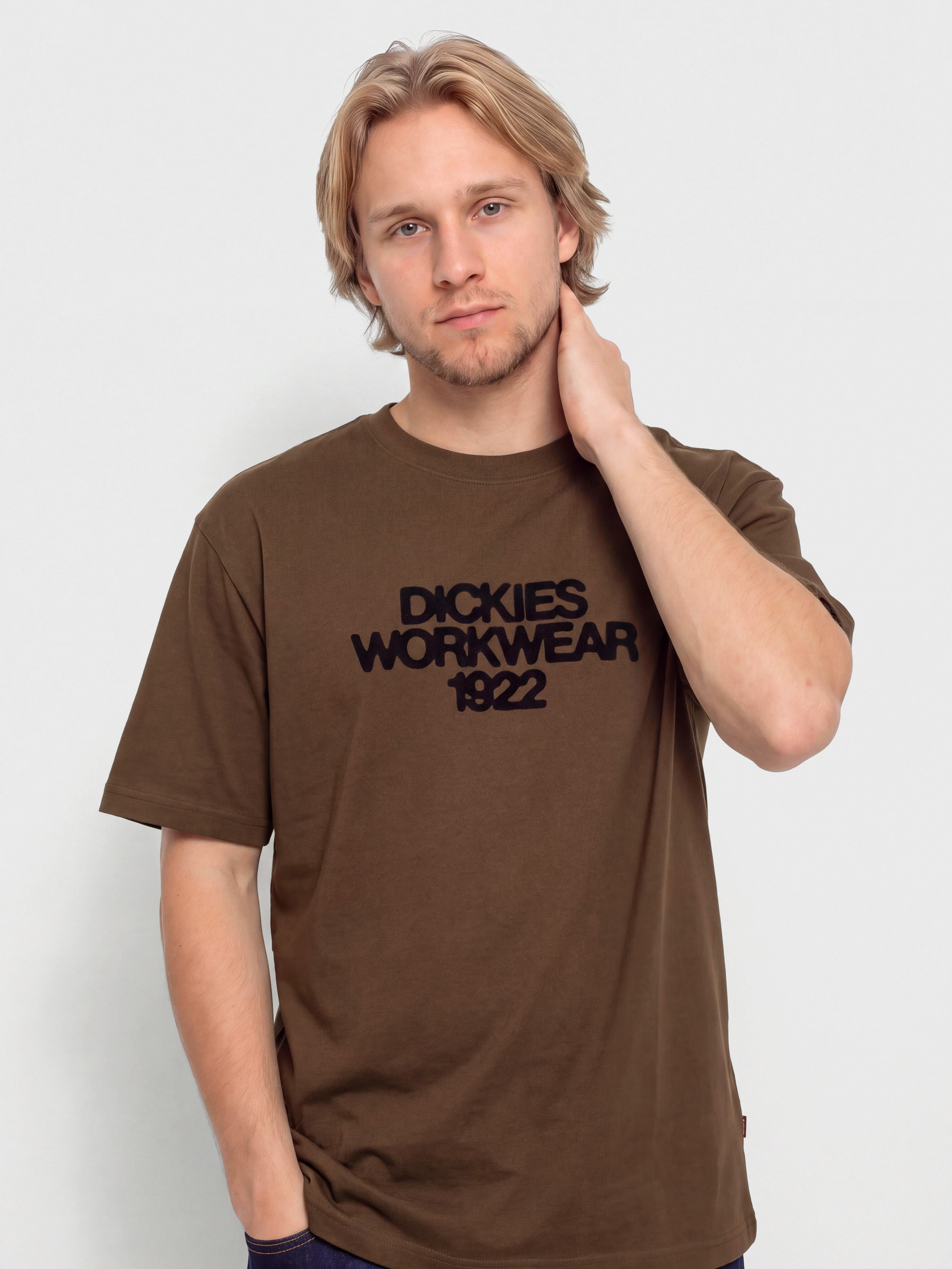 Tričko Dickies Torrey