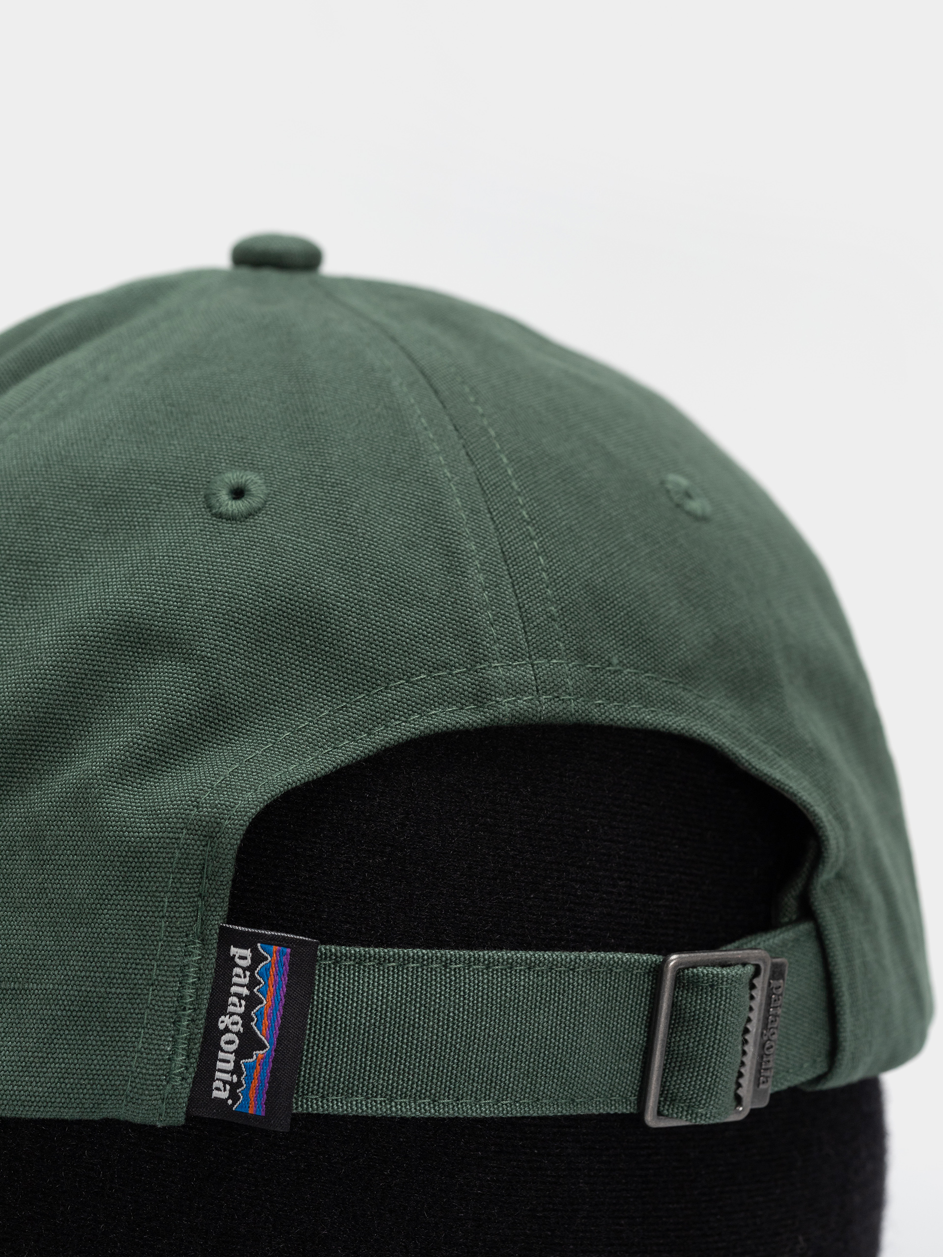 Šiltovka Patagonia P 6 Label Trad (canopy green)