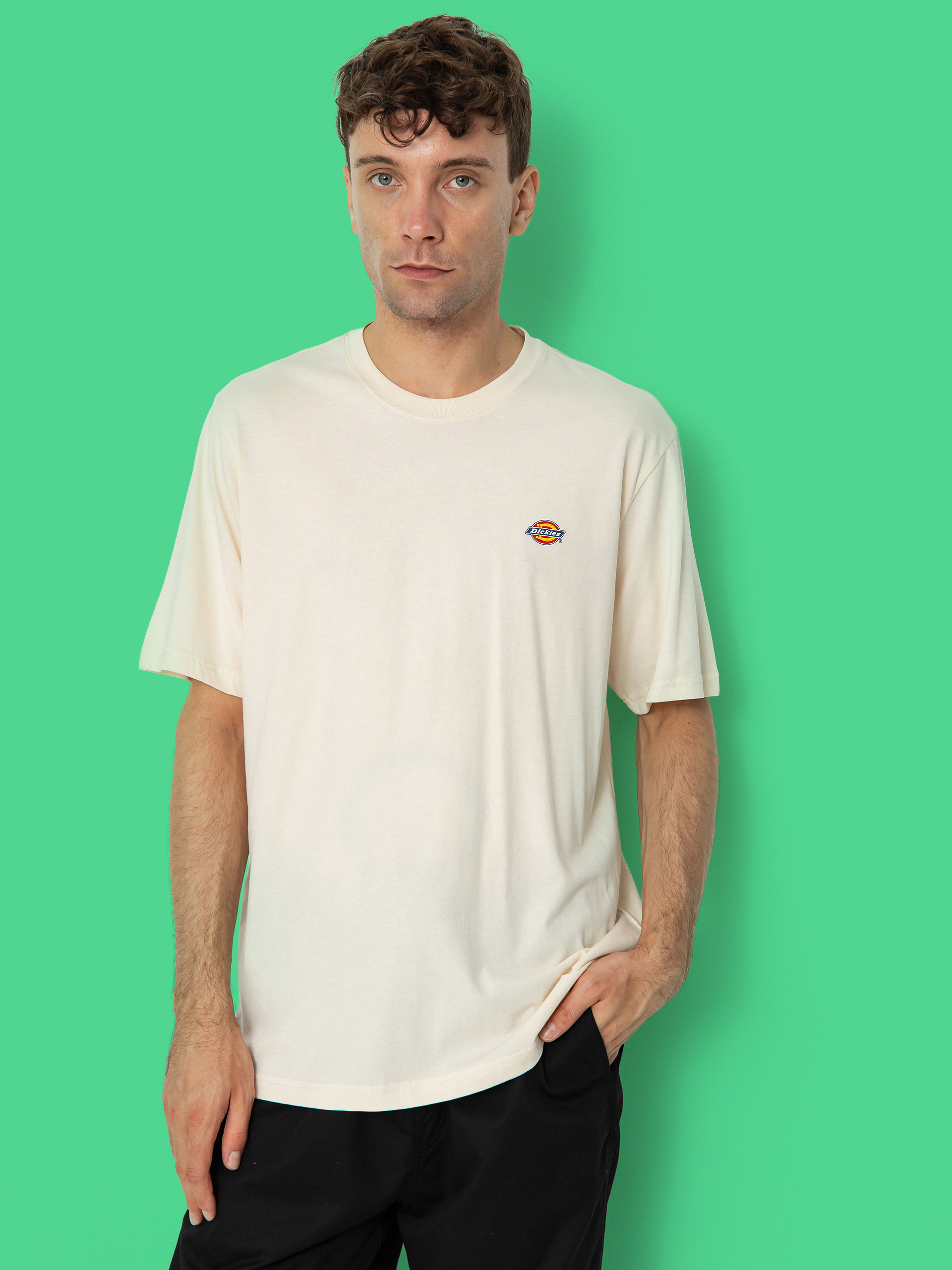 Triu010dko Dickies Mapleton (whitecap gray)