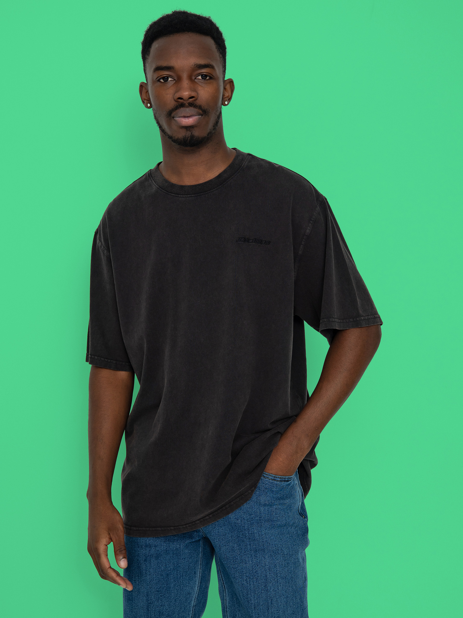 Tričko Dickies Plentywood (dble dye/acd bl)