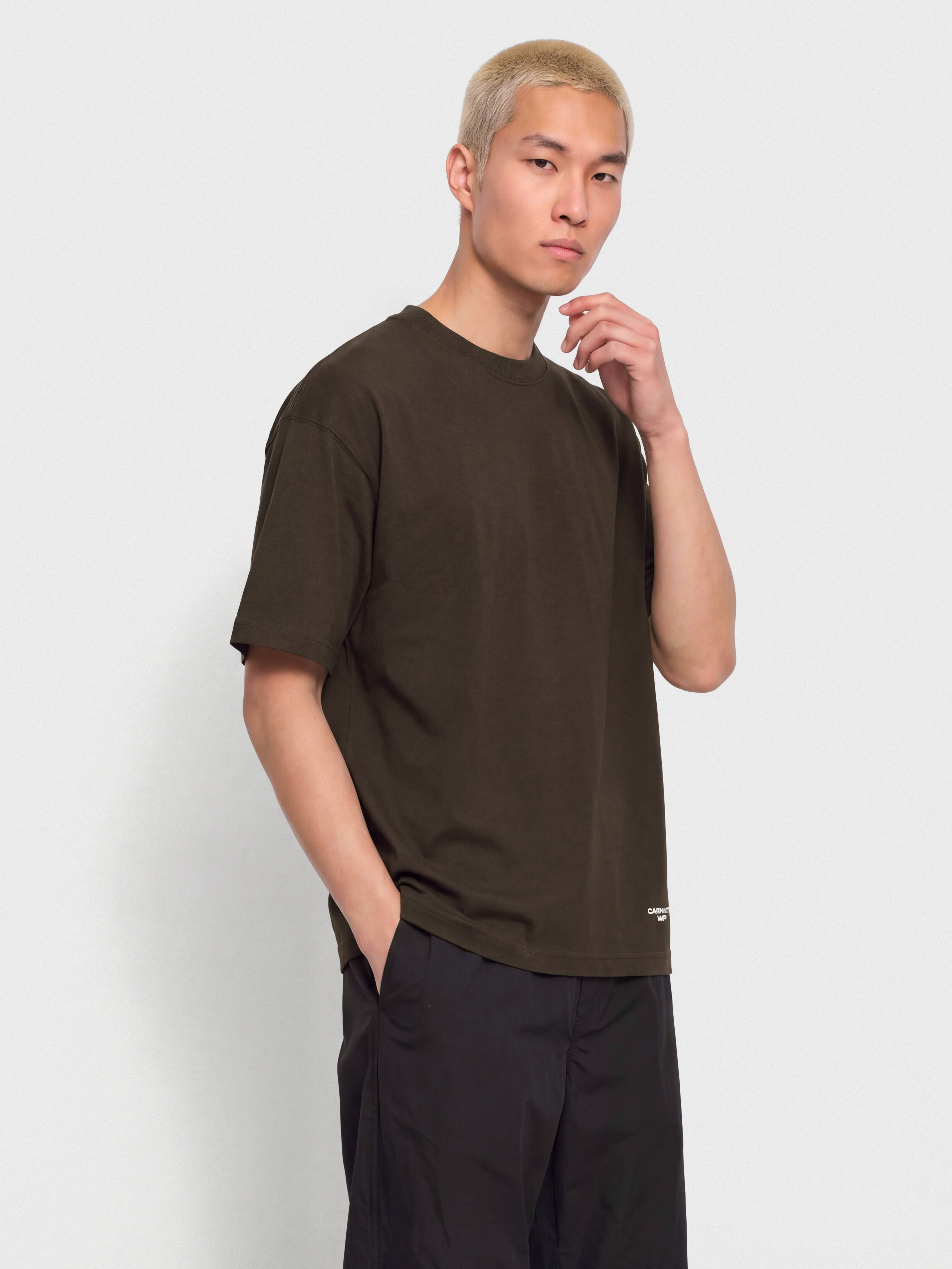 Tričko Carhartt WIP Chapter Script (tobacco/white)