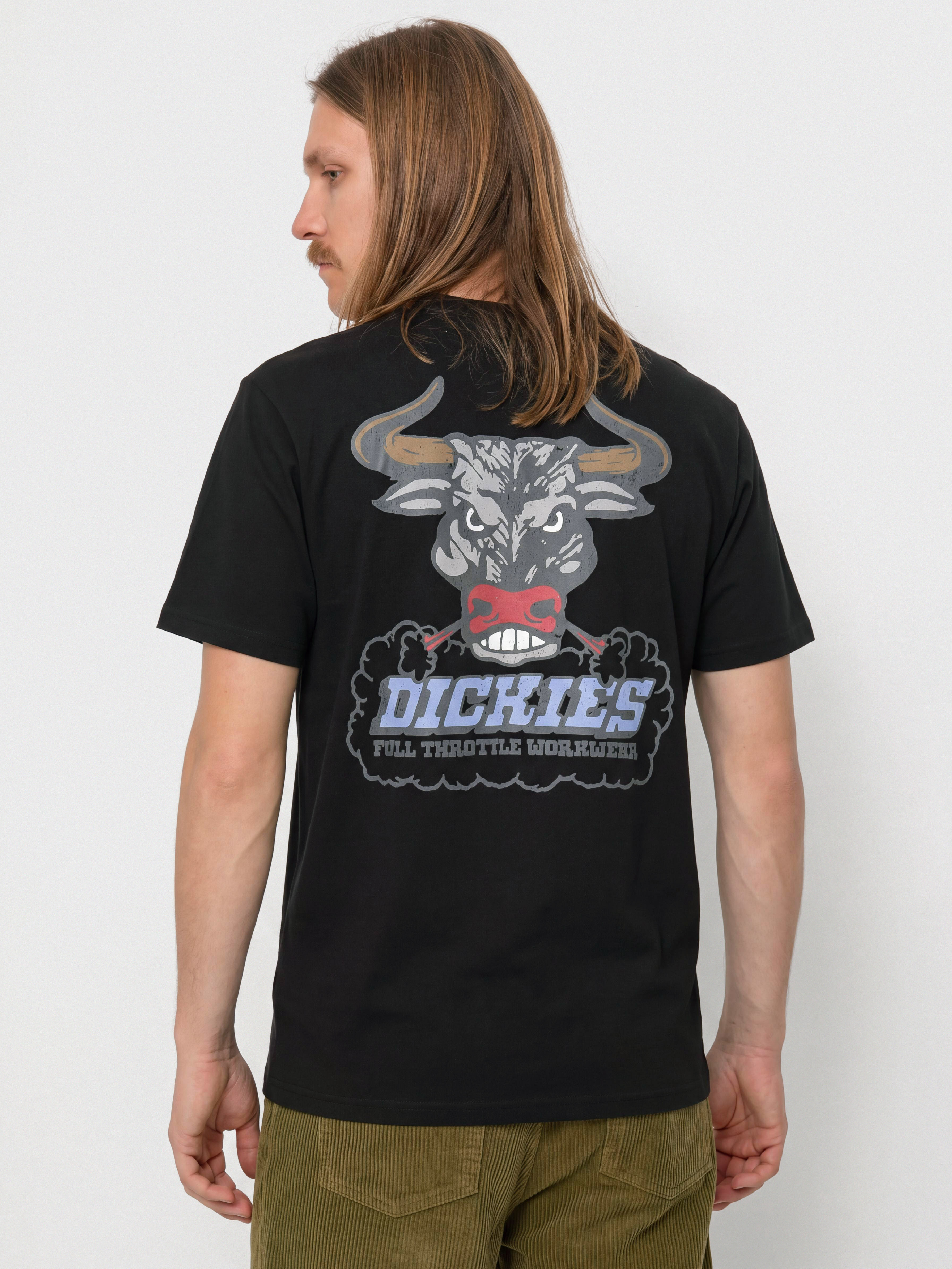 Tričko Dickies Lakeridge (black)