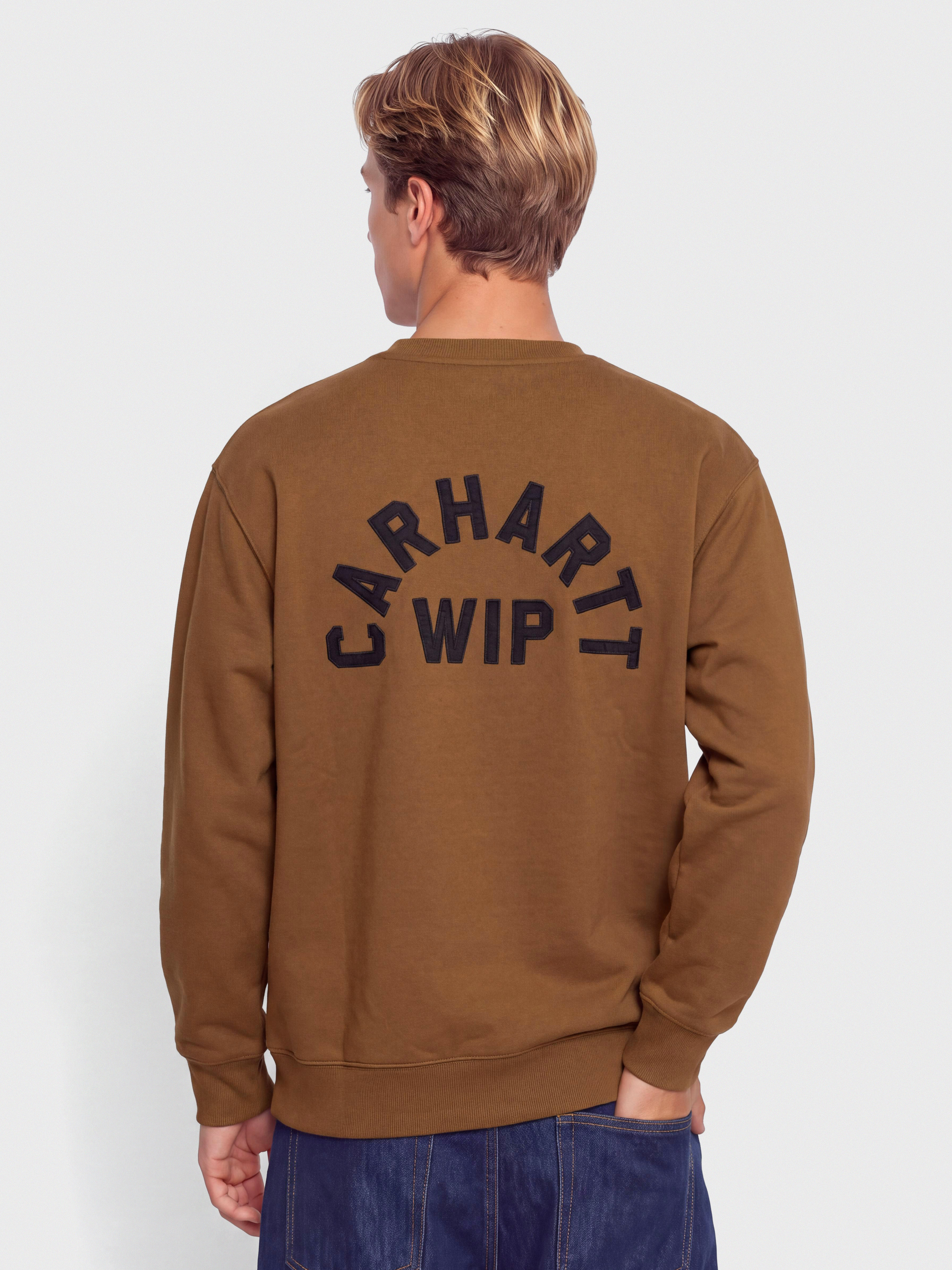 Mikina Carhartt WIP Arch Script (wip h brown/black/stone washed)