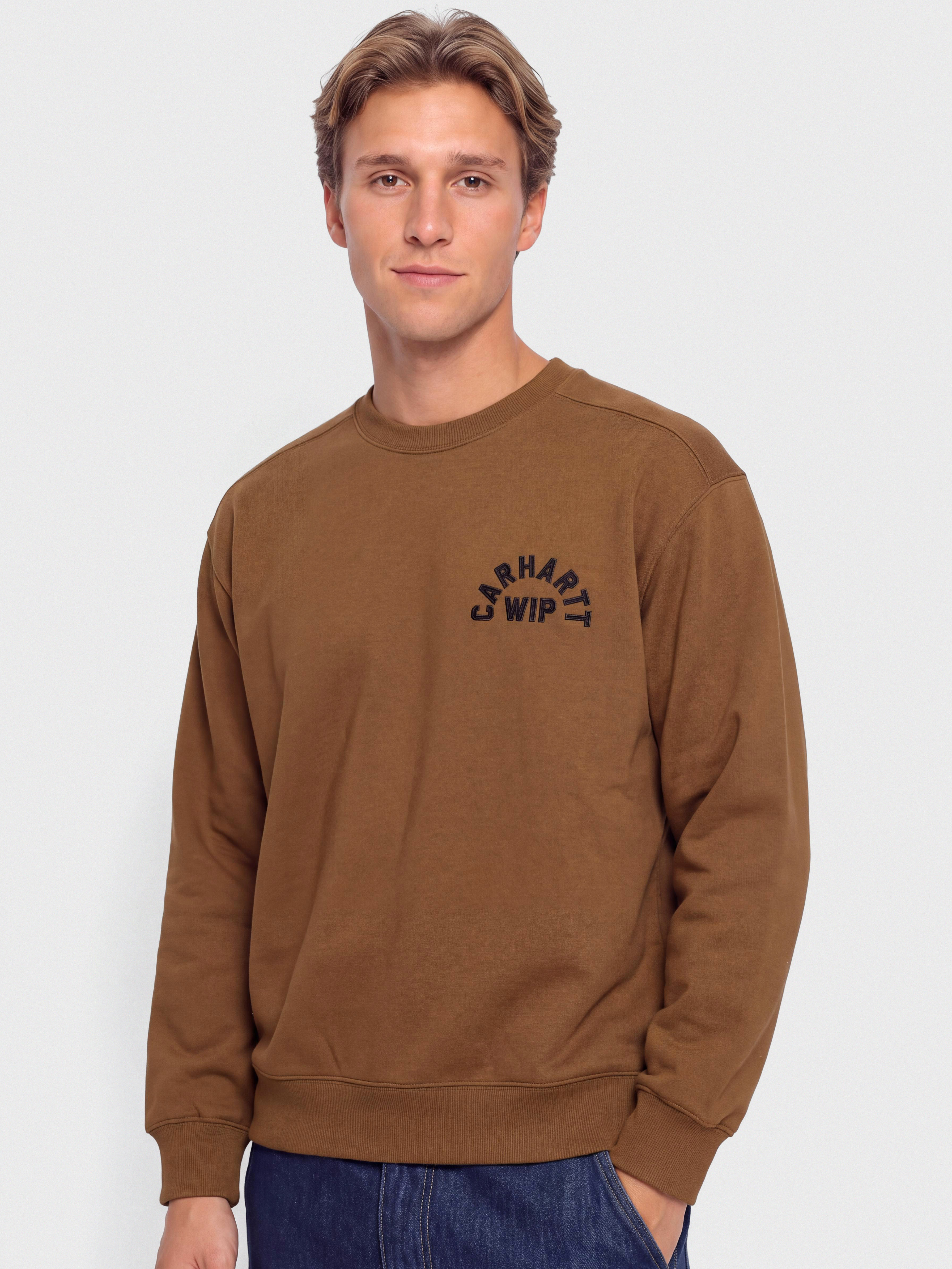 Mikina Carhartt WIP Arch Script (wip h brown/black/stone washed)