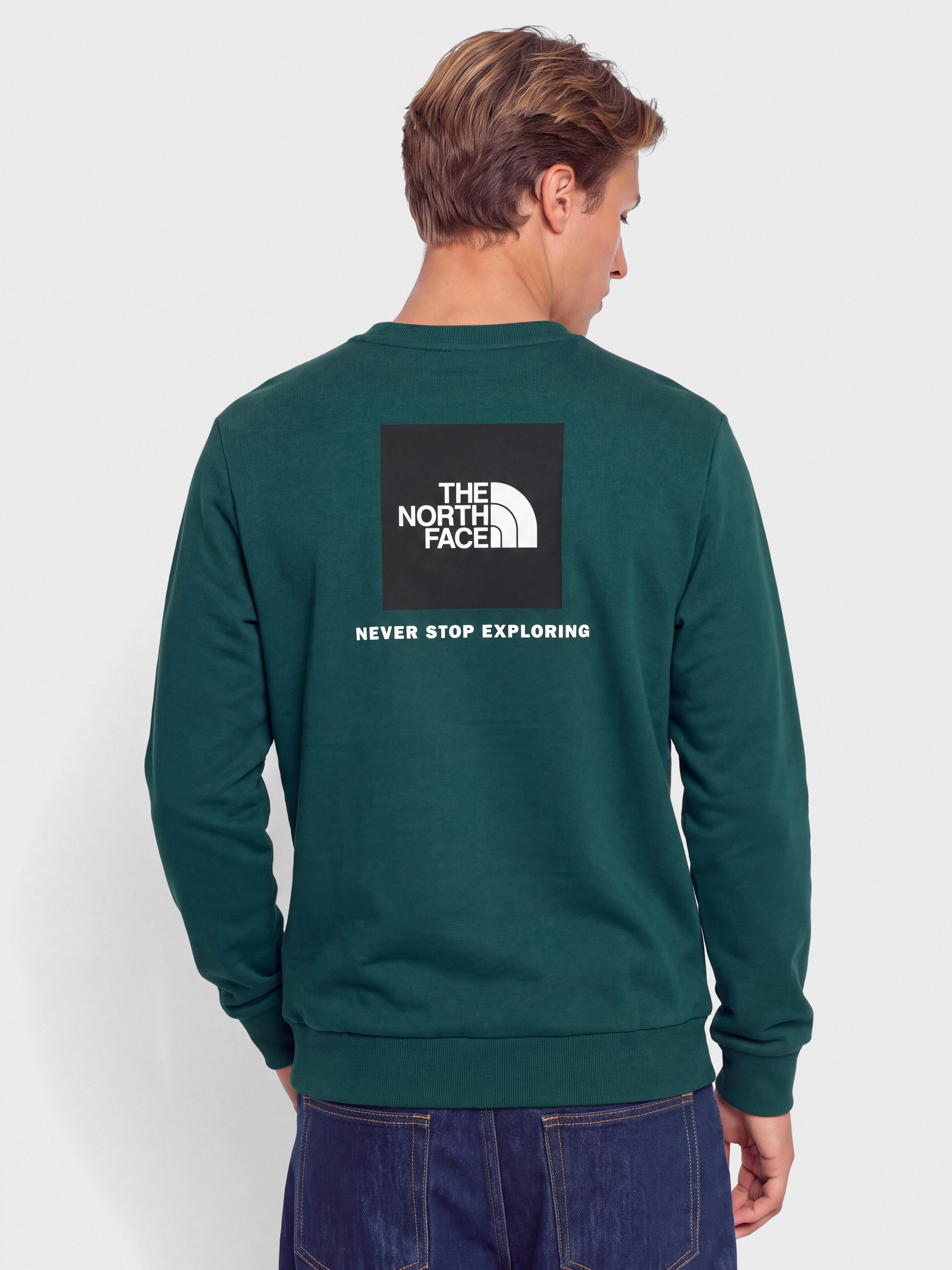 Mikina The North Face Evolution Box Nse Regular