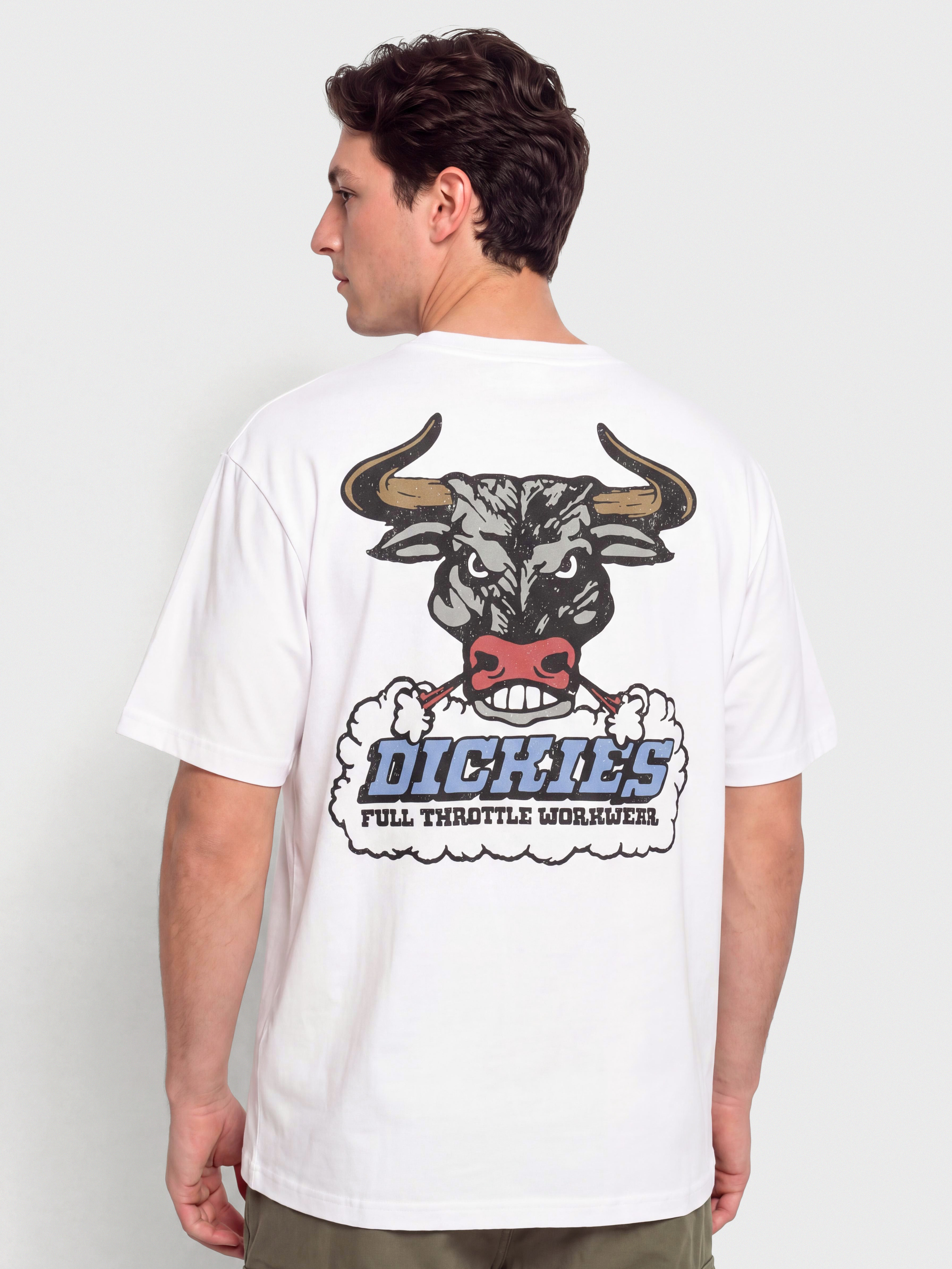 Tričko Dickies Lakeridge