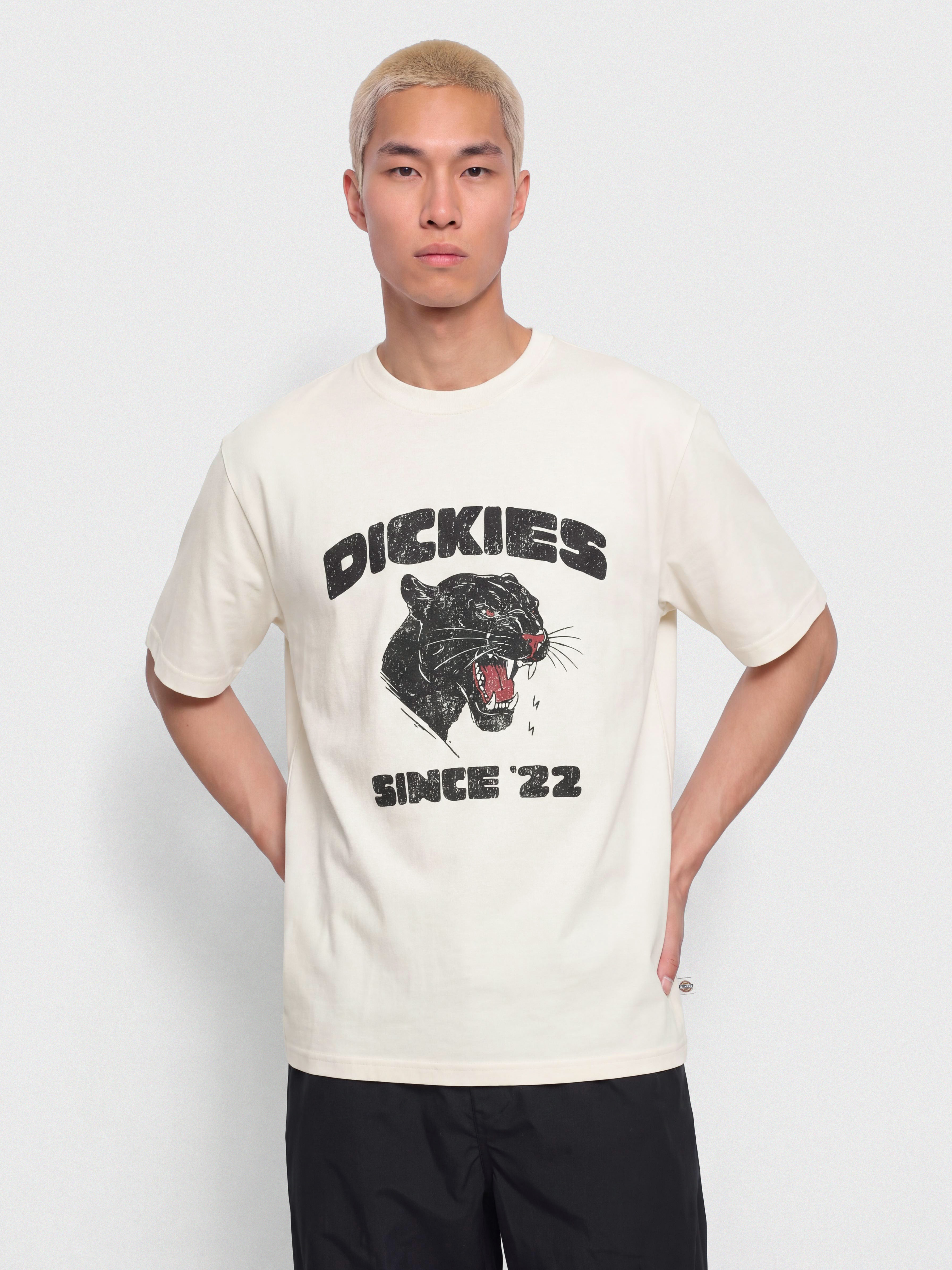 Tričko Dickies Mcdermitt