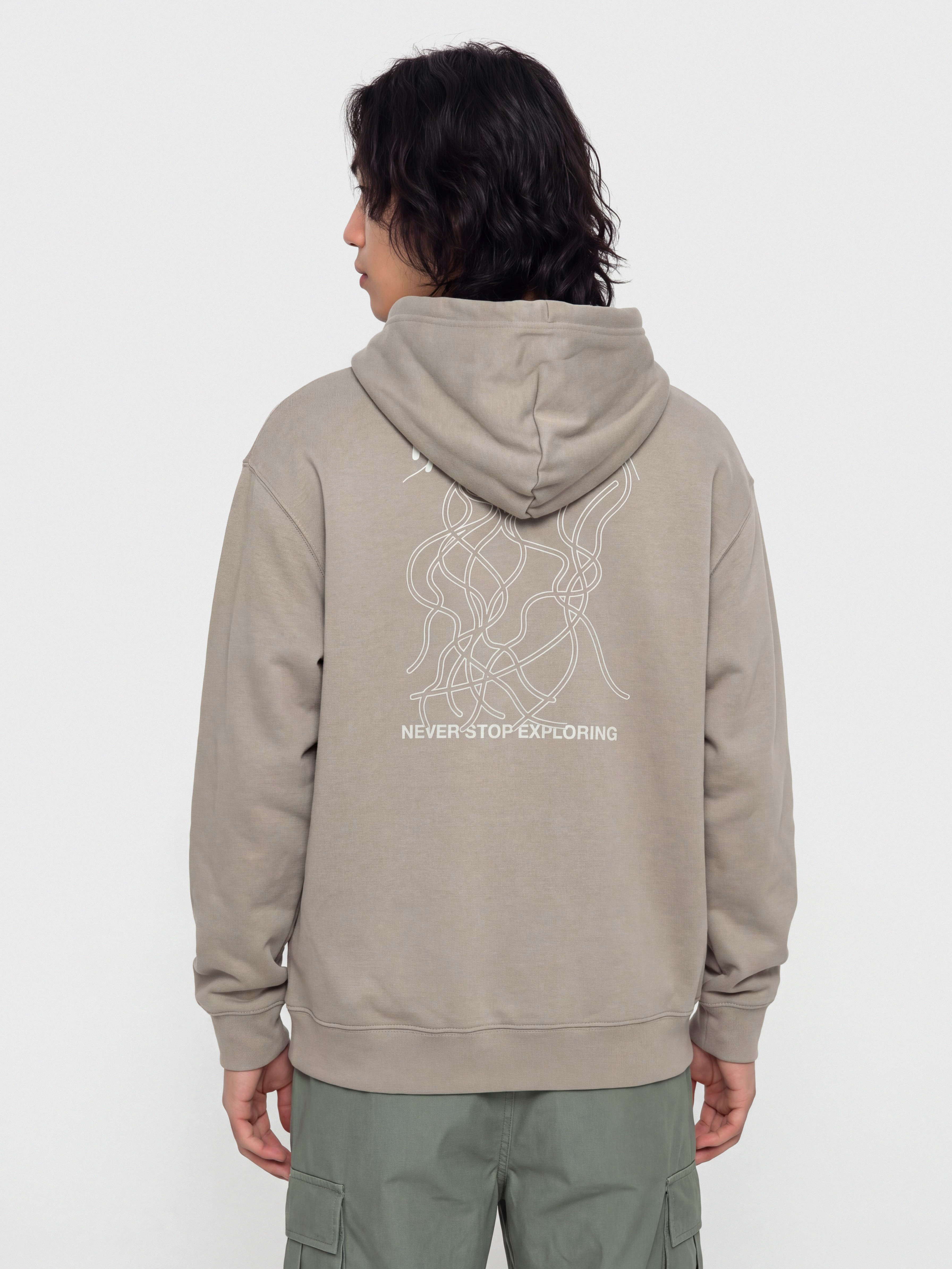 Mikina s kapucňou The North Face Nse Slopes Relaxed HD (stone slab)